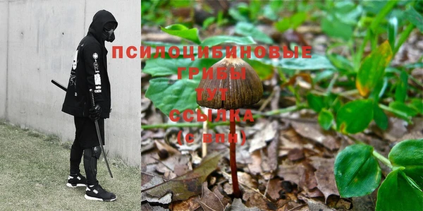 MESCALINE Инта